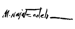 Mehmet Najafzadeh Logo